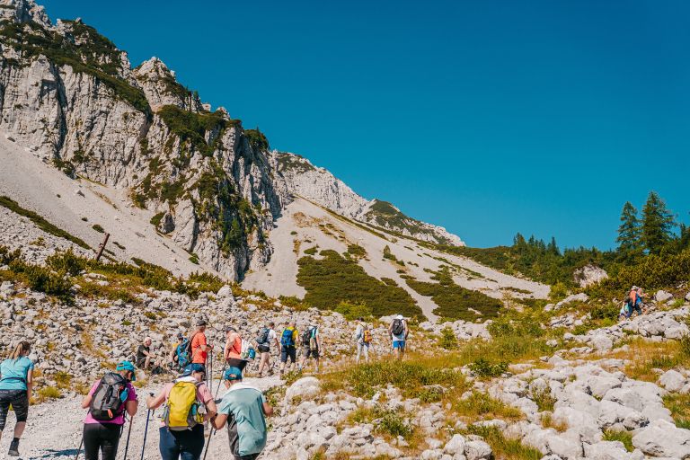 004 planinci-saso svigelj.jpg