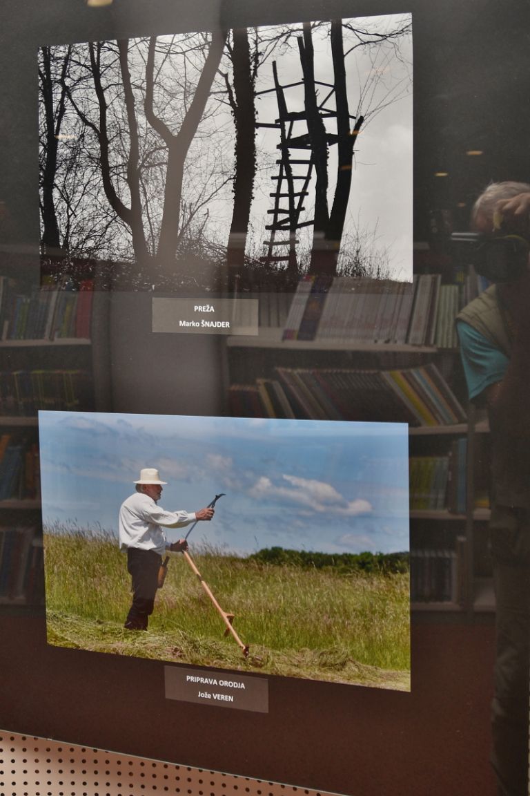 fotoklub-murska-sobota, razstava, fotografije, clovek-in-narava