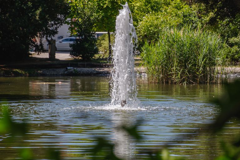 simbolična, poletje, park, vodomet, fontana, jezero