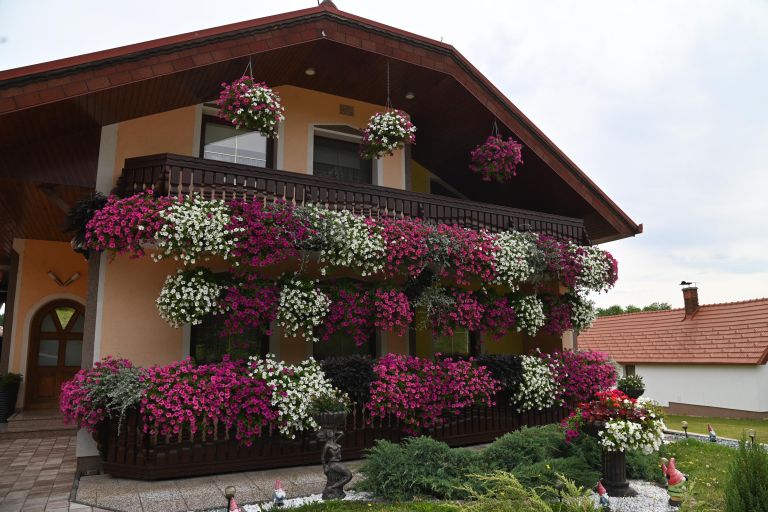 jožica-balek, neradnovci, najlepši-balkon