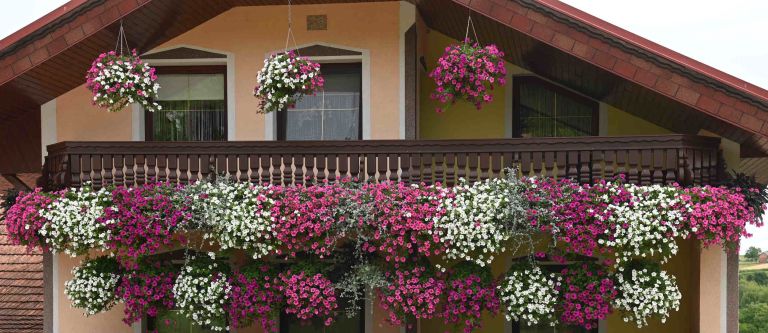 jožica-balek, neradnovci, najlepši-balkon