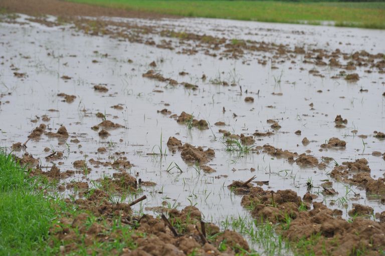 poplave, polja, kmetijstvo, 2017