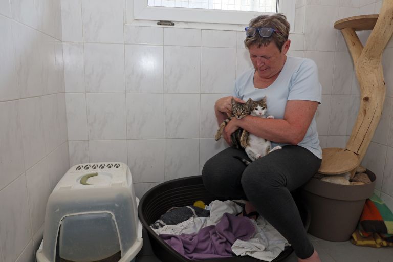 tatjana-lenko, zonzani, zavetisce, sentjur, macke