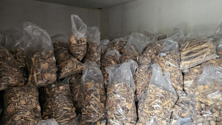 UV2 kostnica skofja loka Peter Susnik X.jpg