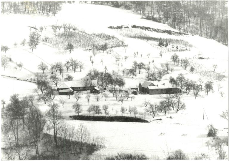 arhiv, zima, 1991, snežak, sankanje, zima-zima-bela, sneg, sneg-1991