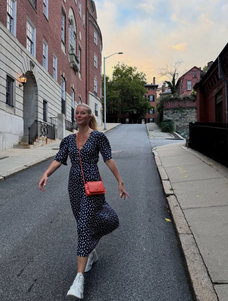 gwyneth paltrow 1.png