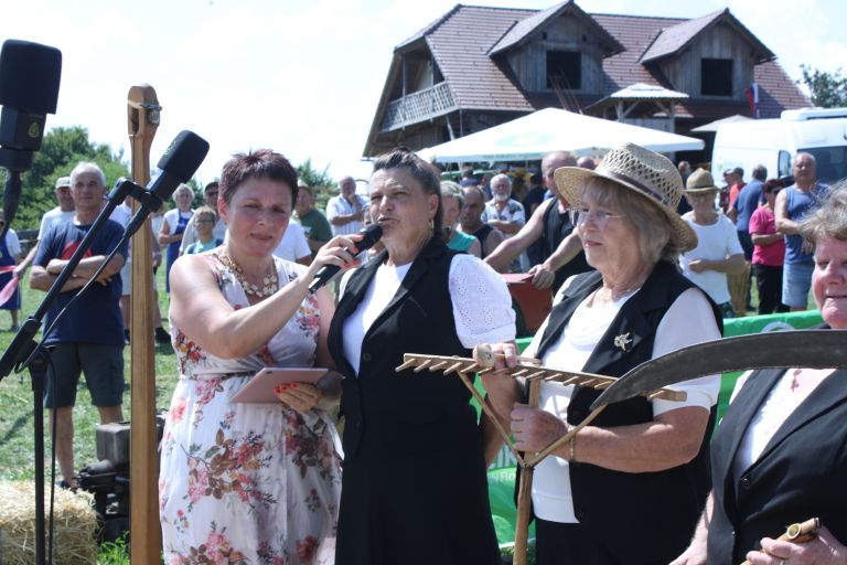 zetev-psenice-po-starem, zetev-na-trscini-2025