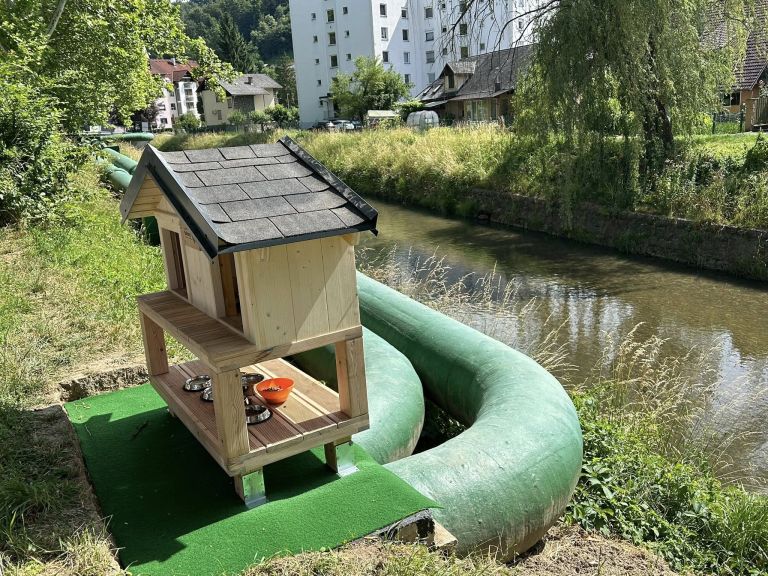 zavetišče za muce šoštanj.jpg