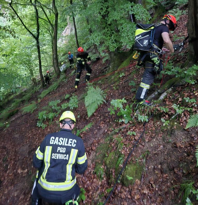 vrvna-tehnika, pgd-sevnica