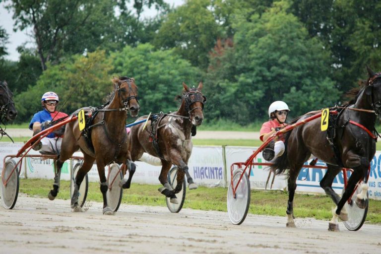 kasaski-klub-ljutomer, kasaske-dirke, hipodrom, ljutomer