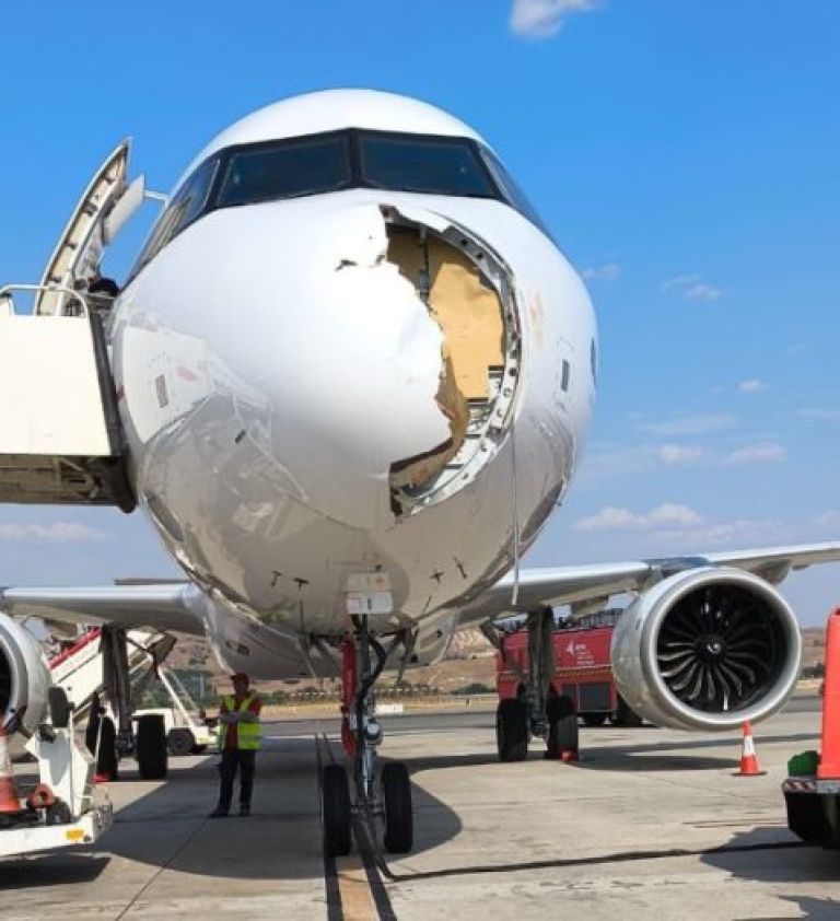 letalo, airbus, jastreb.jpg