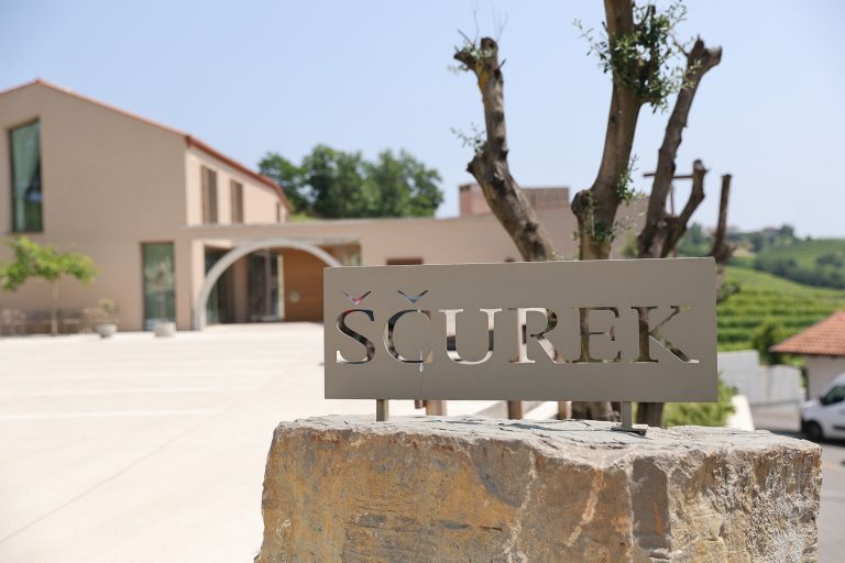 STOJAN SCUREK-pl009.JPG