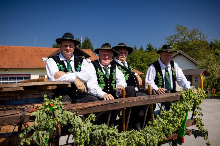 63-dan-hmeljarjev, hmelj, dan-hmeljarjev