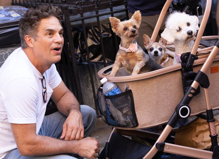 mark ruffalo 2.jpg