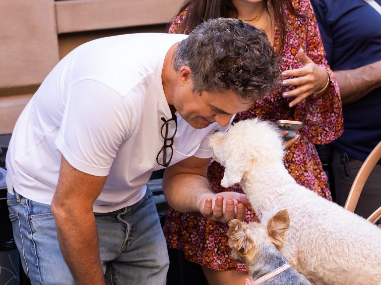 mark ruffalo 1.jpg