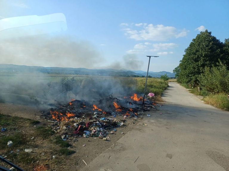 pge-krsko, drevo, odpadki