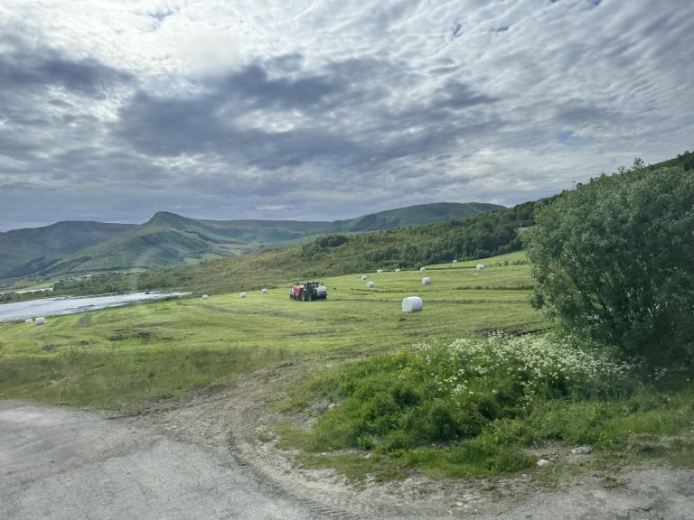 12 LOFOTI bale SS.JPEG