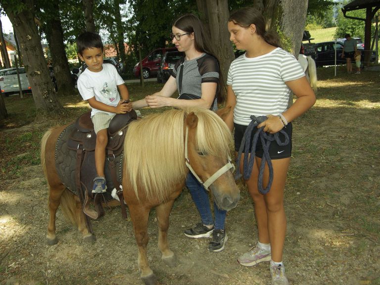 sentjernej, konj, kasastvo, 140-let