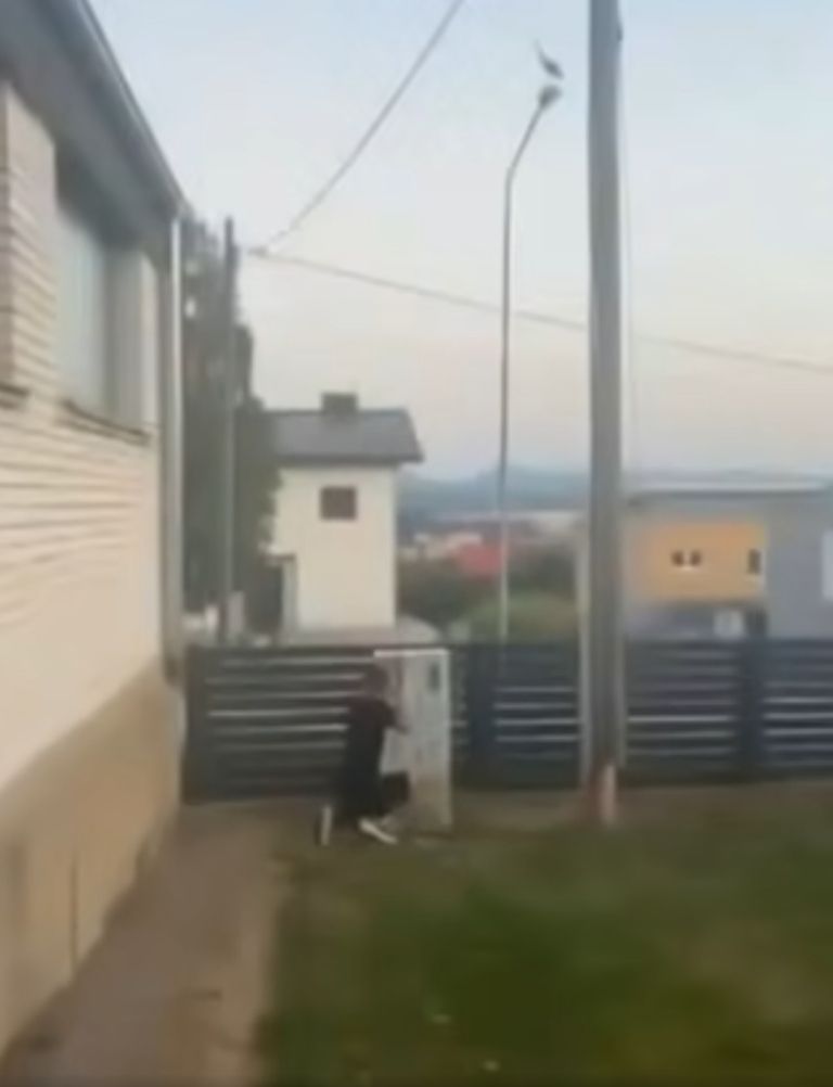 storklja.jpg