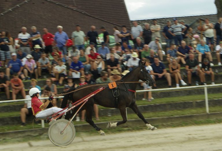 sentjernej, konj, kasastvo, 140-let