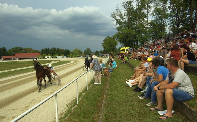 sentjernej, konj, kasastvo, 140-let