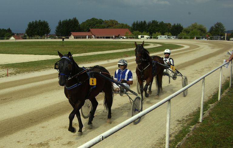 sentjernej, konj, kasastvo, 140-let