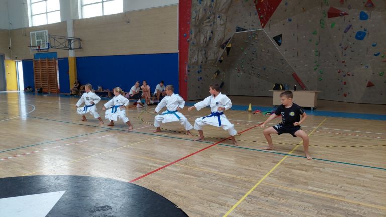 karate-kluba-brezice-soltec