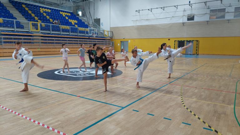 karate-kluba-brezice-soltec