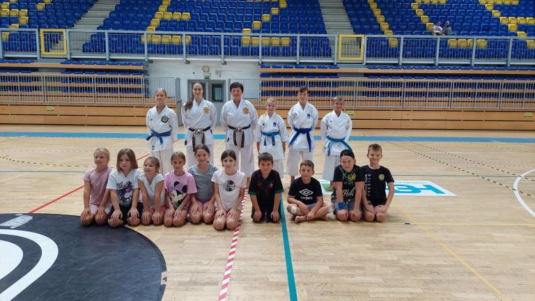 karate-kluba-brezice-soltec