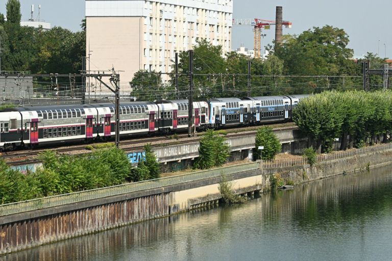 choisy-le-roi, štiri trupla, pariz, sena.jpg