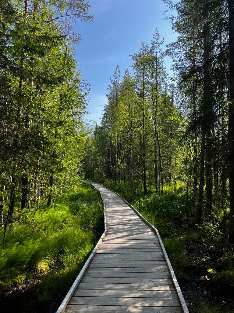 finska, potopis