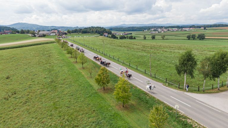 konjerejsko-drustvo-radohova-vas