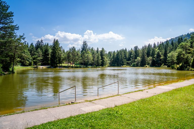 Rakitniško jezero
