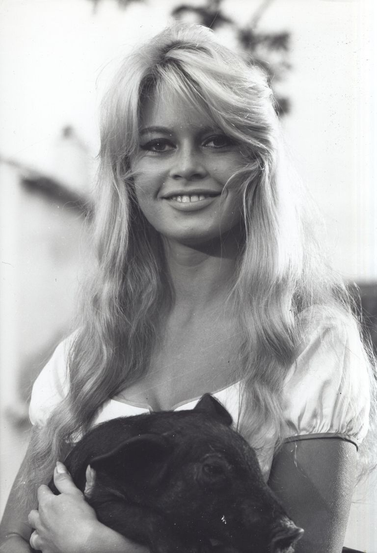 Brigitte Bardot