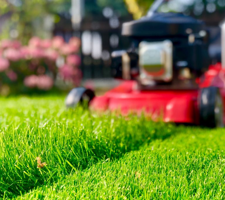 kosnja-trave, kosilnica