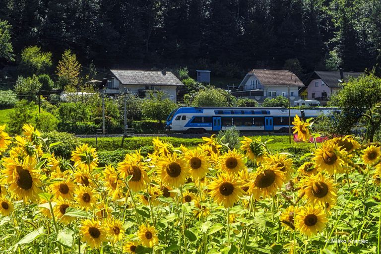 DOL PRI LJUBLJANI-Foto Miško Kranjec.jpg
