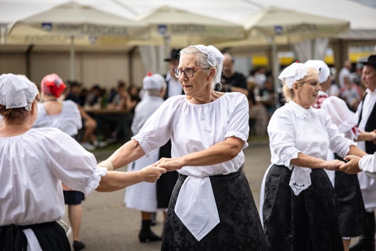 neda-ukraden, lendavska-trgatev
