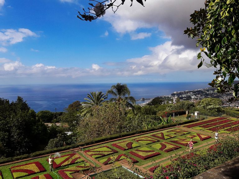 35 MAdeira Vrt (1).jpg