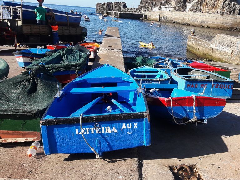 35 Madeira CamaraDeLobos.jpg