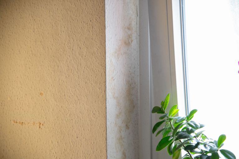 lendavska-ulica-13, gradbišče-fasada-streha, plesen, vlaga