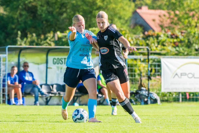 sznl, 4-krog, znk-mura-nona, znk-gazon, bratonci