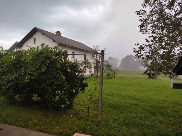 naliv, šujica.jpg