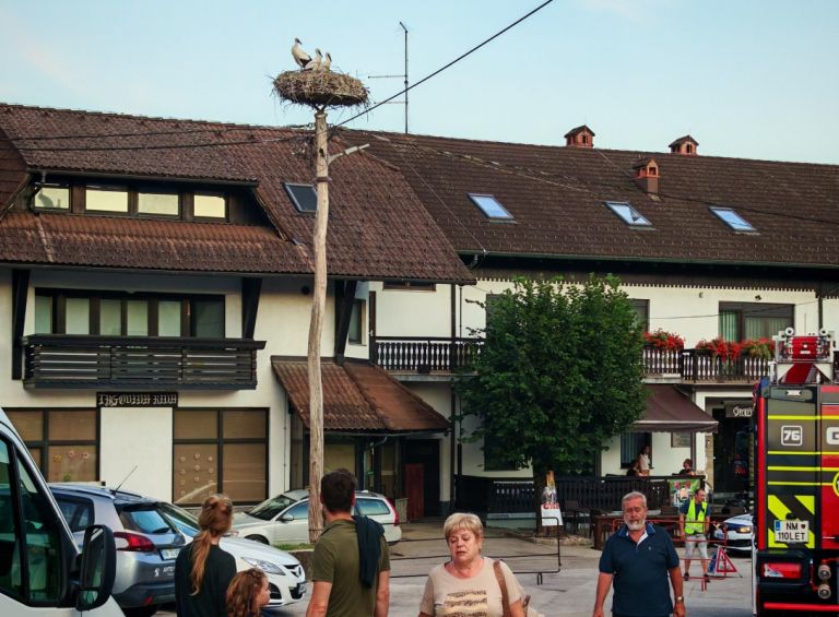 ĺˇtorklje.jpg