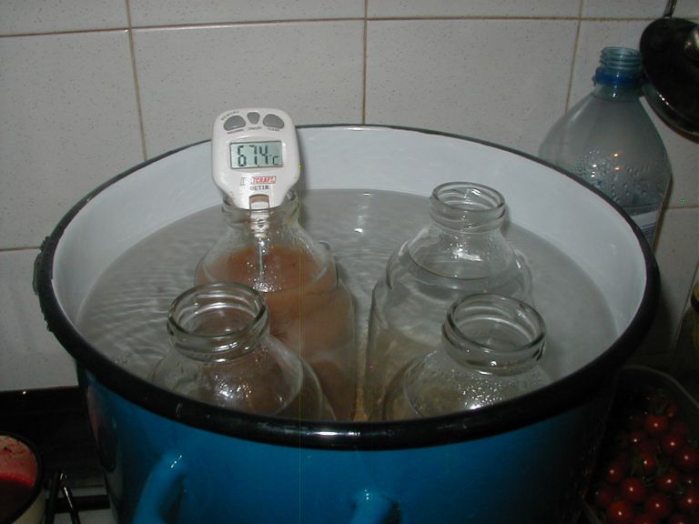 Biodinamika5-sep25.JPG