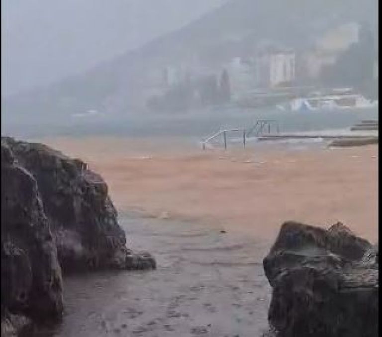 Zajeta slika.JPG