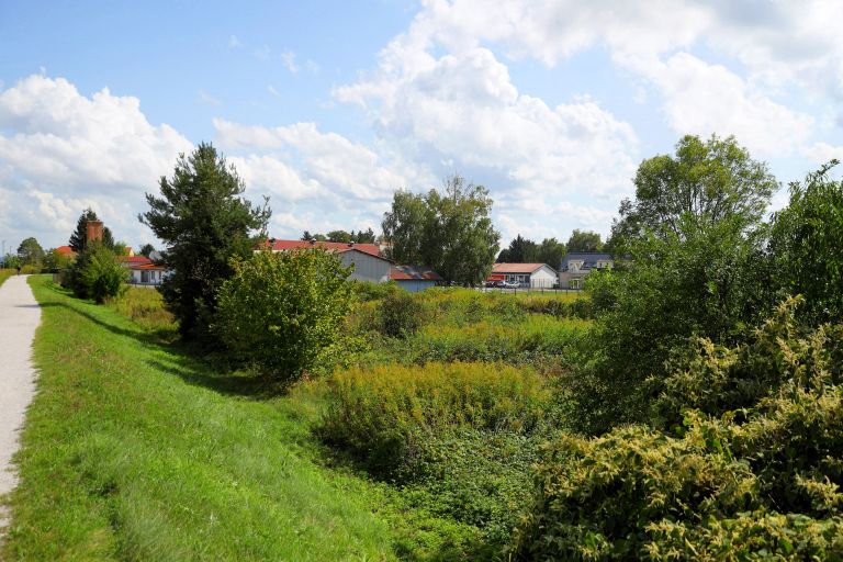 cg_agis_mlinska.jpg