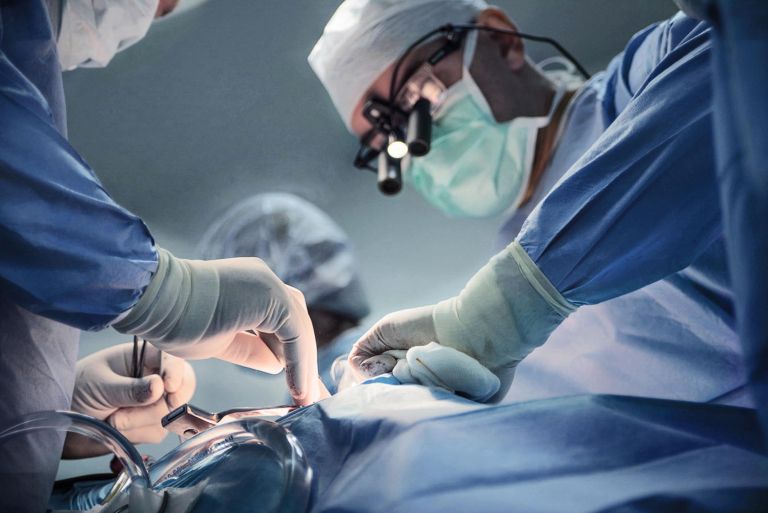 transplantacija pujs1.jpg