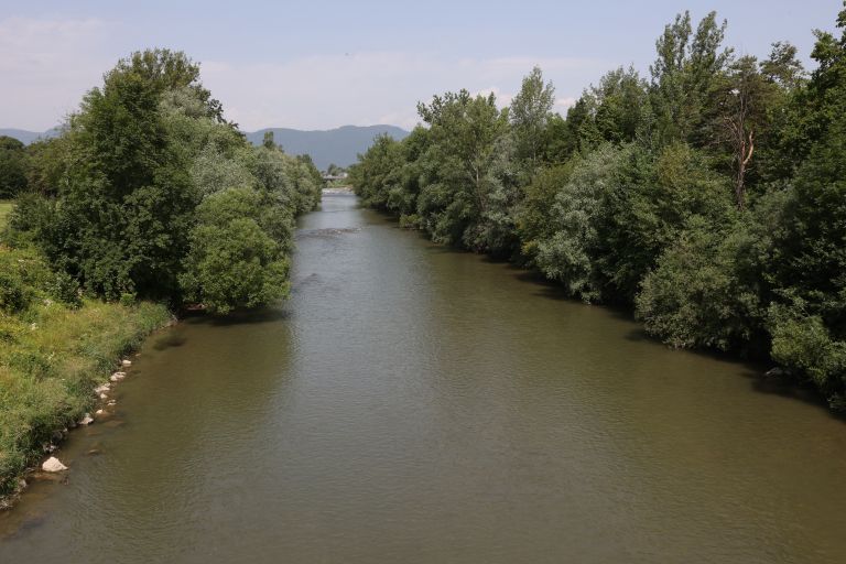 Savinja