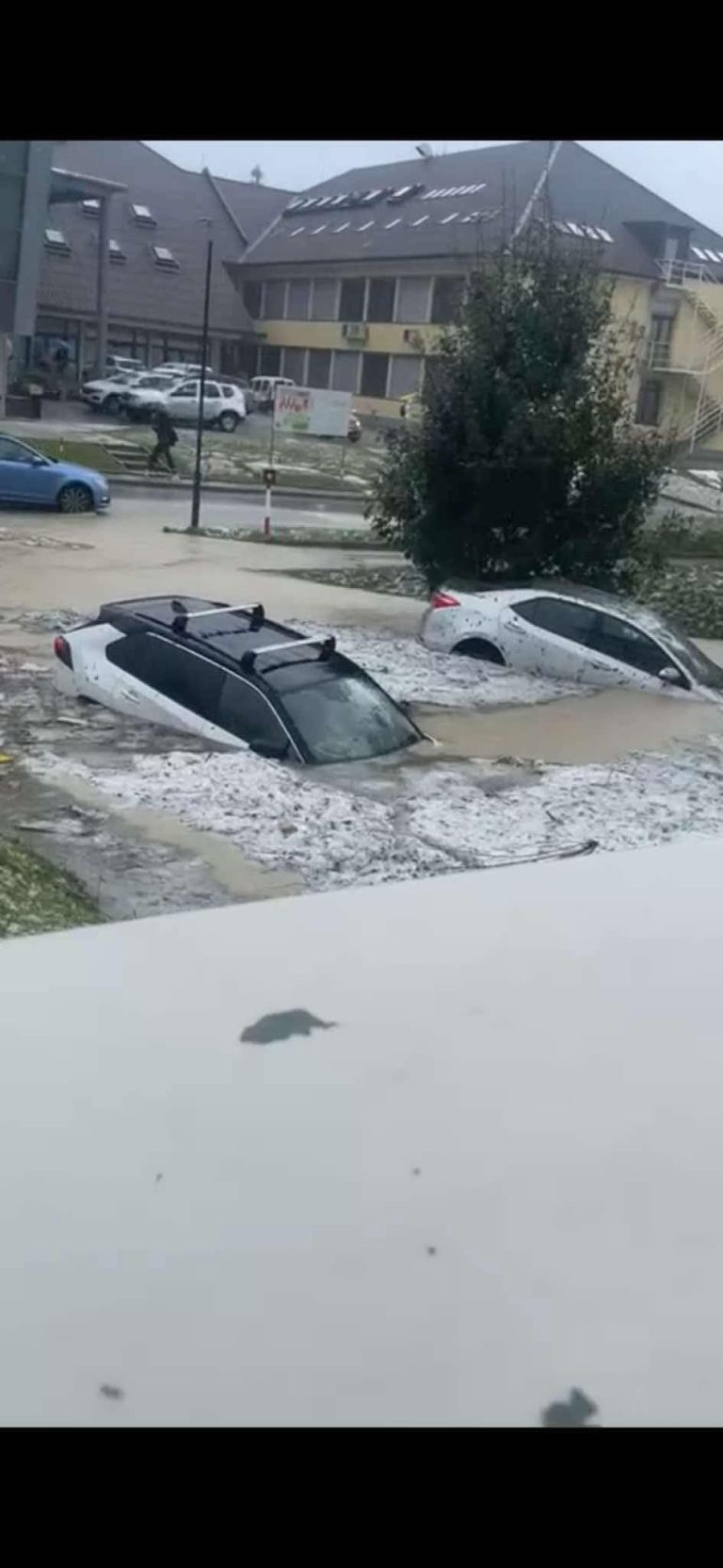 neurje, novo-mesto