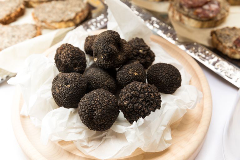 Truffle festival - Graz Tourismus Harry Schiffer.jpg Gradec